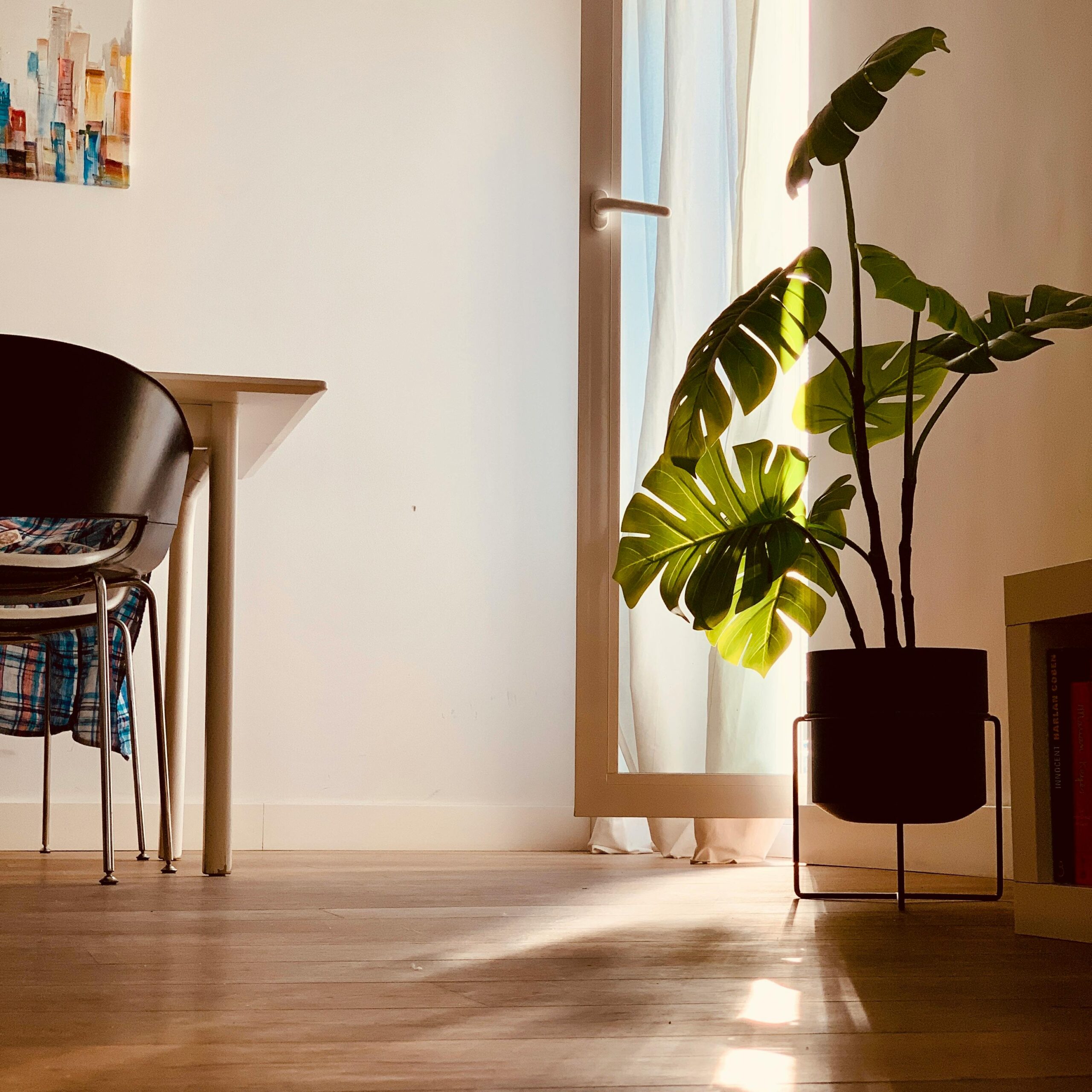 Minimalist interior with a monstera plant by a sunlit door and a modern chair.